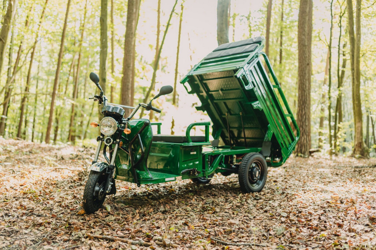 EV Mobility - LDR Smart 25 - 13